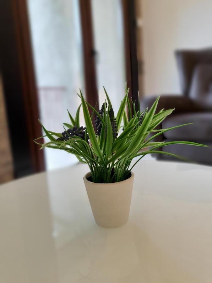 קוטור Clive Apartments מראה חיצוני תמונה