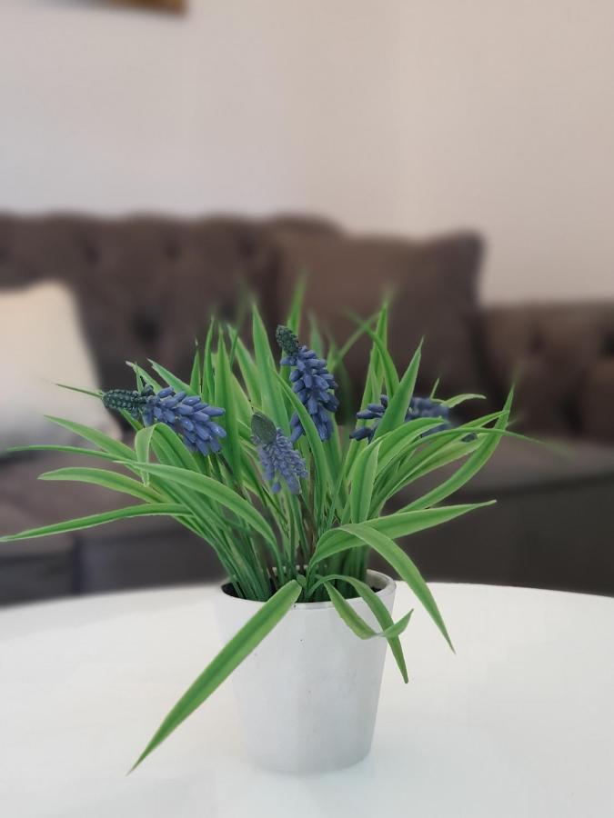קוטור Clive Apartments מראה חיצוני תמונה